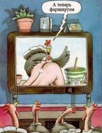 Фотоподборка за 06.06.2016