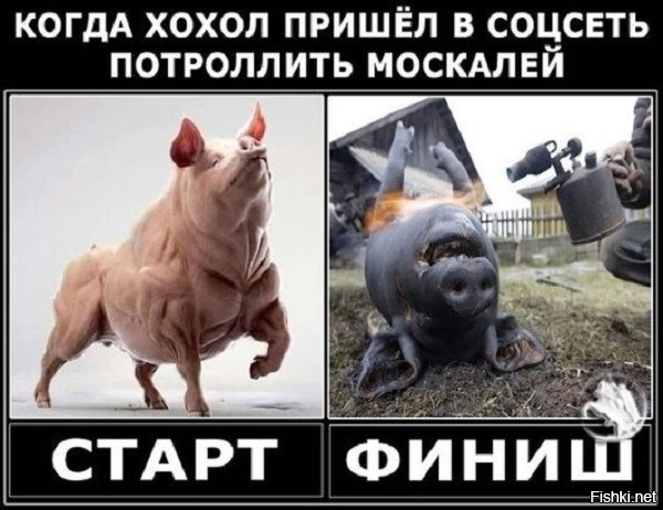 "Вот никогда такого не было... И ВДРУГ ОПЯТЬ" (с)