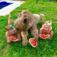 Солдаты испугались животного и спрятались в военных грузовиках сообщила пресс-секретарь бригады Сату <span style='color:gray'>[мат]</span>:lolфамилия не дай бог каждому :))) Испугались говоришь....:))