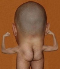 Посетитель Национального музея часов превратил уникальный экспонат в груду хлама