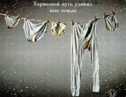 Путешественникам на этот раз повезло