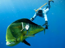 Вот ОН, самый страшный враг всему, везде и всегда...