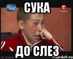 Отец отправил сына в село, чтобы показать ему, что такое бедность