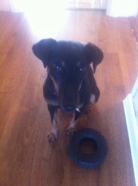 Моё чудо! Ягд! Липа!