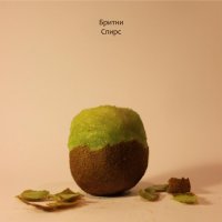 Объясните она полуголая или у неё ноги не бритые? Или еще в чем прикол?

С брюсом Уиллесом тоже долго думал, почему он голый, дошло, что лысый... может бритни тоже лысеет?