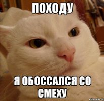 Смешно до слез