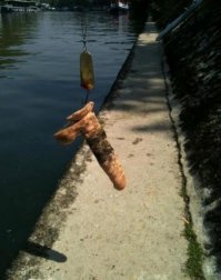 14 несчастных, у кого день не задался