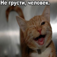 Бургер как средство слюновыдавливания или просто неплохой перекус с утра