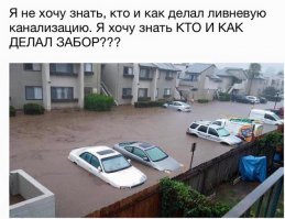 Дождь не помеха: этих людей не запугать капризами погоды!