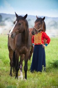 Показалось