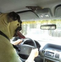 Показалось