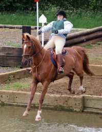 Прикольное фото и картинки