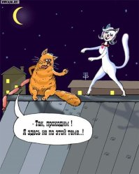 Демотиваторы, кубики и анекдоты о космосе