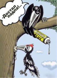 14 несчастных, у кого день не задался