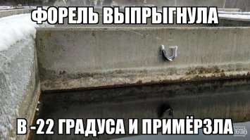 Почему то напомнило.