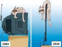 Где-то в начале 80-х прихожу ремонтировать телевизор... Котик любил спать над блоком разверткок (БР-1). Котик старенький. Напряжение 25-26 киловольт. Описался. Блок разверток ремонту не подлежит. Но я до сих пор не могу забыть отпечаток этого кота на потолке над телевизором! Это жесть...