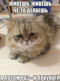 15 знаменитостей, доказывающих, что счастье не купишь 