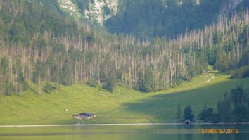 Аффтар, сапсем чтоле. Смотрю такой картинки....о, фигасе...круто!!! Мурашки по коже и фсё такое.... Пока не увидел фото с надписью "Заброшеный дом, озеро Оберзее, Германия"...ппц! Аффтар, харе постить куйню. В этом "заброшенном доме" австрийский крестьянин (дедуля лет эдак 80-ти) хранит лодку с помощью которой он имеет связь с внешним миром. Его домик аккурат на том конце берега за "заброшенным домом". На фото его не видно. Почему так авторитетно заявляю? Да потому что был там прошлым летом и ничего жуткого там и в помине нет. Места невероятно красивые и озеро с кристально чистой водой. Это заповедник Германии на границе с Австрией, а так как они там для населения размыты, то и дедок этот австриец - встречает туристов не как немцы, а как австрийцы, приветствием "Gruess Gott". Туристы к нему пачками ломятся - пьют экологически чистое молоко и наслаждаются природой.
А вот и фото этого"заброшенного дома". Заодно добавлю фото противоположного берега с хозяйством этого дедули. Если присмотреться, то можно увидеть ещё один такой же "заброшенный дом";)
В общем если остальные фото из поста такие же голословные, то пост ниачем!