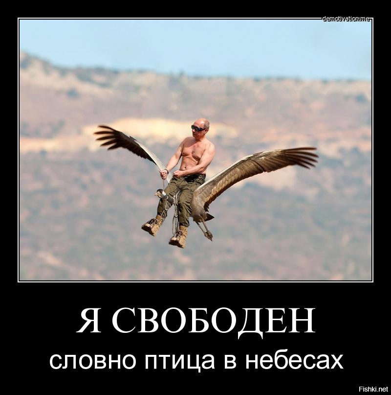 Отчего люди не летают так как птицы. Турук Макто. Птица свободы. Я свободен словно птица в небесах. Свободна как птица.