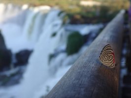 89 регион. Ямало-Ненецкий автономный округ??????????????