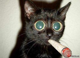 10 загадочных мест, которые, возможно, являются порталами в другие миры