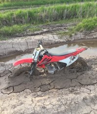 Первое что пришло на ум, когда увидел эту фотку... 
"савраска увяз в половине сугроба..." :) Хоть это не сугроб.