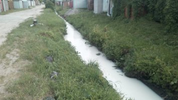 Я один не понял происходящего здесь?