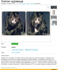 Да не оскудеет рука дающего: чего только не отдают даром люди!