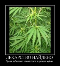 Лекарственные растения России