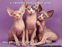 Безумные фотографы-новички, которые заставят вас плакать от смеха 