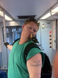 по моему единственное нормальное фото