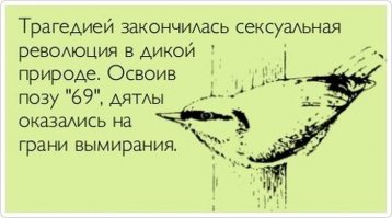 Фотоподборка за 08.06.2016