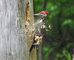 Фотоподборка за 08.06.2016