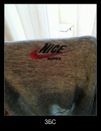 Веселые фотки