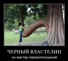 Как жить, когда каждый второй озабоченный?