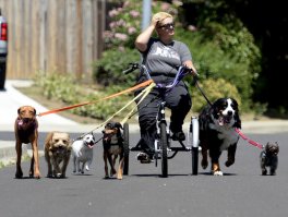 ... оче-е-е-ень сильная и независимая женщина :)