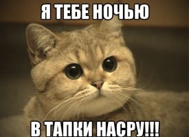 За такие издевательства