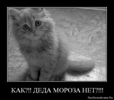 Ложь пабликов Вконтакте. Часть 2