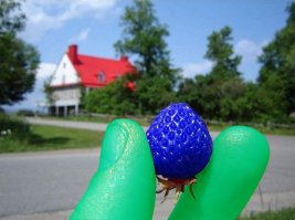 Ложь пабликов Вконтакте часть 4