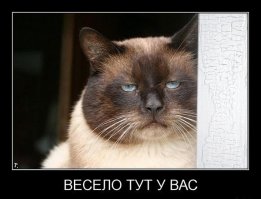 Проголодавшийся Toyota 4Runner