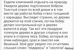 Смешные комменты из соцсетей и не только #36