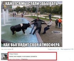 Комментарии и "баяны" из социальных сетей и не только 