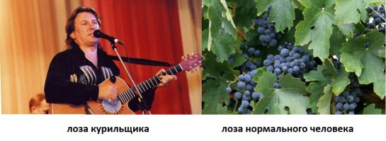 «Почта России» доставила москвичу пластинку, сложив ее пополам