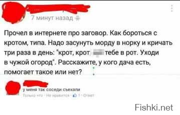 Хороший юмор на сегодня