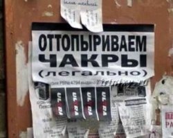 Уморительные «перлы» инструкторов йоги 