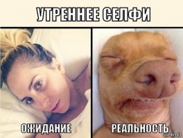 Ожидание и реальность