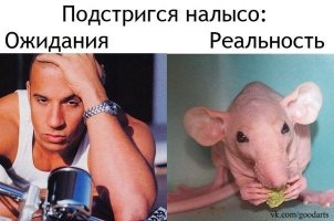 Ожидание и реальность