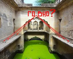 Видать не только мусорят, но и срать туда бегают...