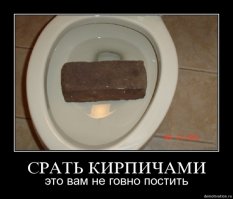 Медведь с легкостью открыл дверцу автомобиля и напугал семью