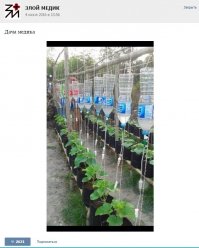 Я почти так же организовываю полив домашних растений на период своих отпусков. Ибо две недели они без воды не протянут, а поливать некому.